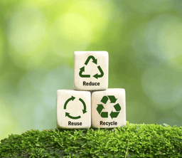 Экологическая безопасность